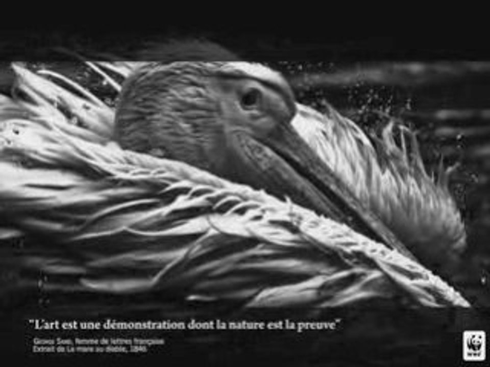 Exposition Laurent Baheux