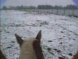 Deux vieilles vidéos de Vodka