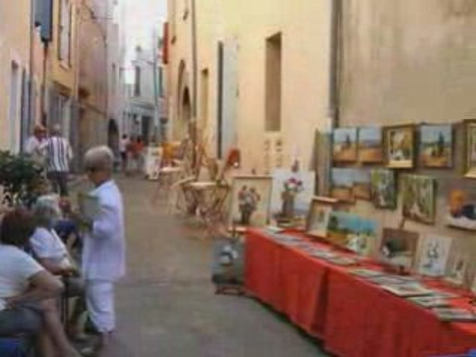 Bilan Malaucène 2008