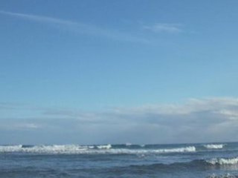 Surf alicante (11-1-09)