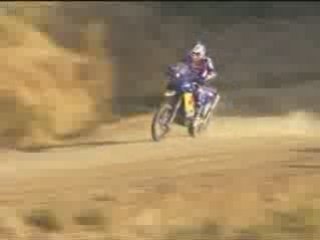 Dakar 2009 stage 8 highlight