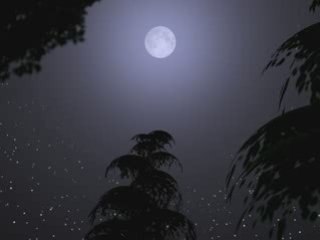 It All Comes Back To Me Now-Hal Kemp