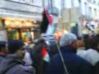 manifestation pour le soutien de gaza a besançon