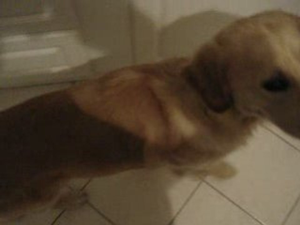 le gros