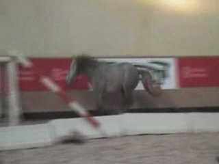 Ruy Blas de Boissis lib