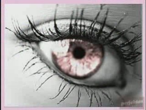 Offer Nissim Feat. Maya - Perfect Love