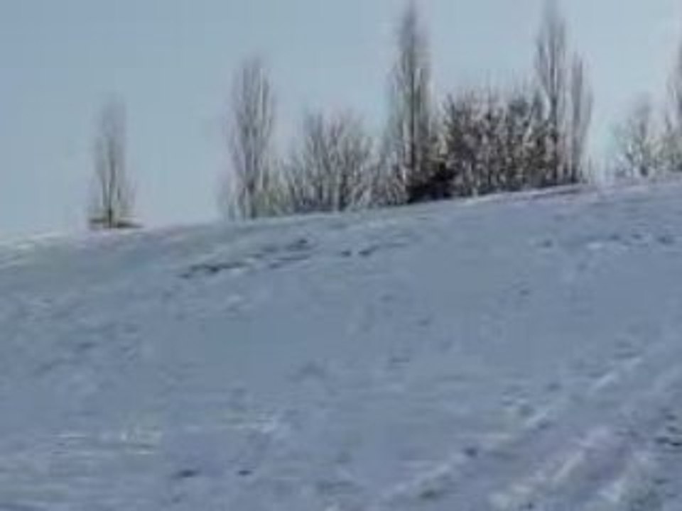 P1010441