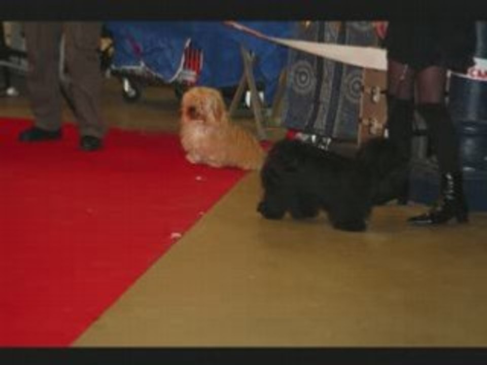 Expo Paris Vincennes