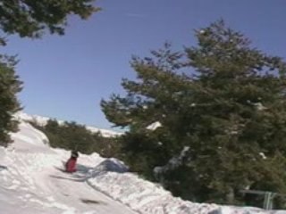 Randonnée en chien de traineau