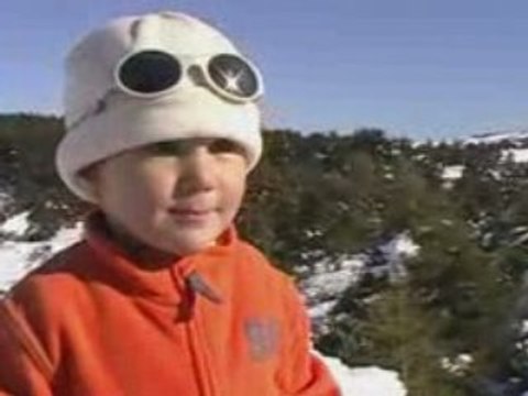 Le retour des bambis