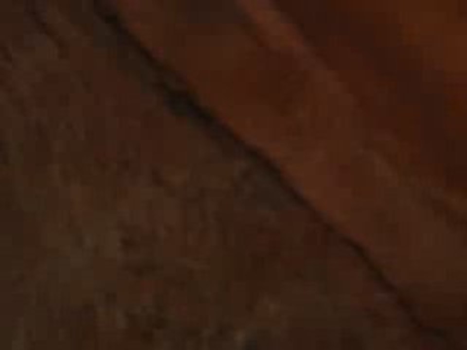 MOV01419