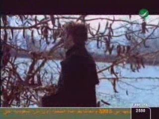 الكافورى تبكـى الطيـور