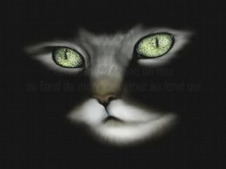 ON SE QUITTE +PAROLE