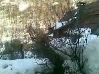la ferme de la foux d'allos