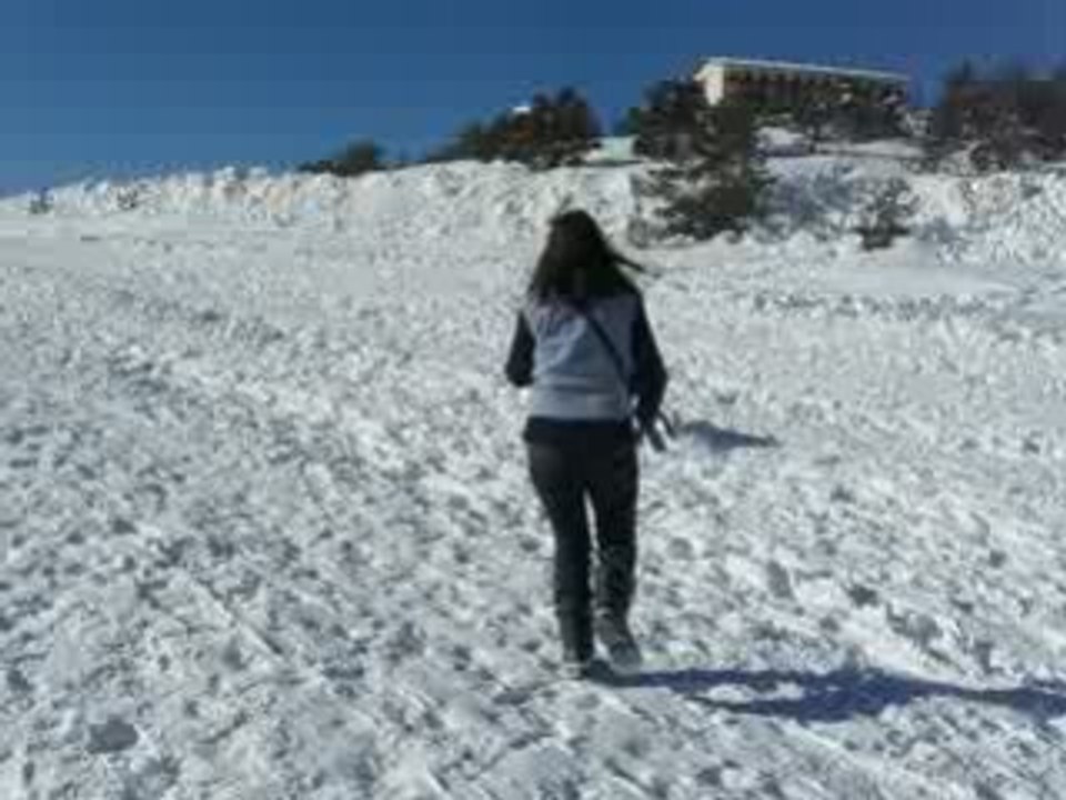 Vixie à la neige