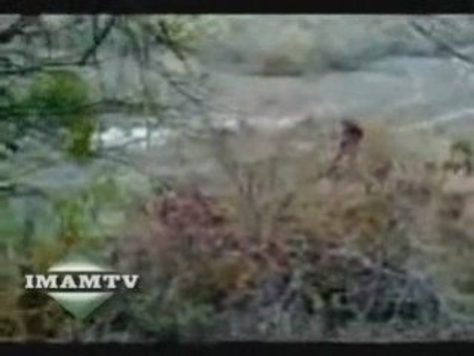 Combat et blessure fisabilillah