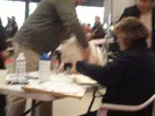 Havanais 6 Paris Dog Show 110109