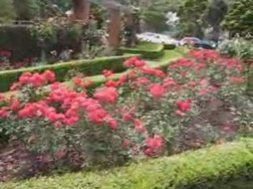 NZ Botanical Garden