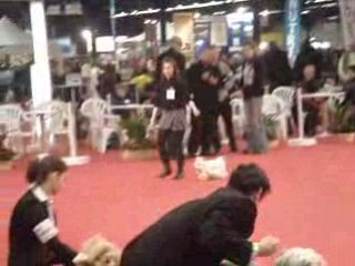 Petite fille Lysiane Paris Dog Show 110109