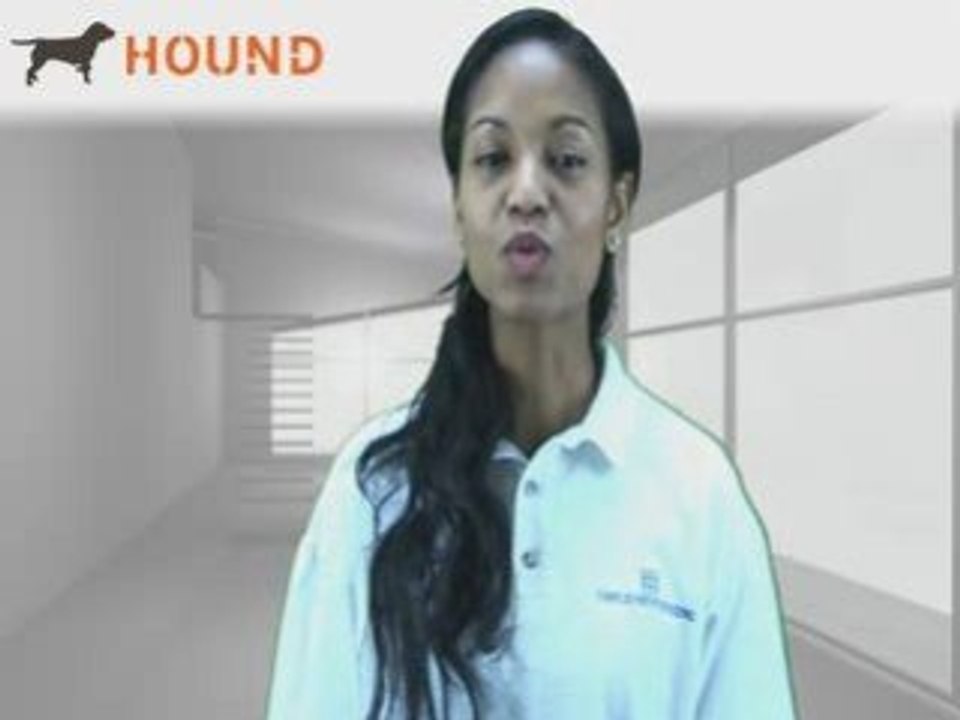 Senior Software Engineer Positions - Hound.Com