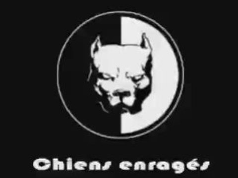 Chiens enragés