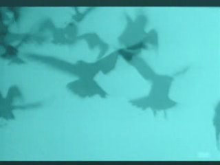 C'est de l'homme qu'il s'agit !