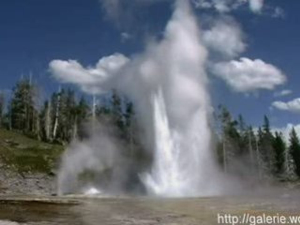 Yellowstone`s geysire