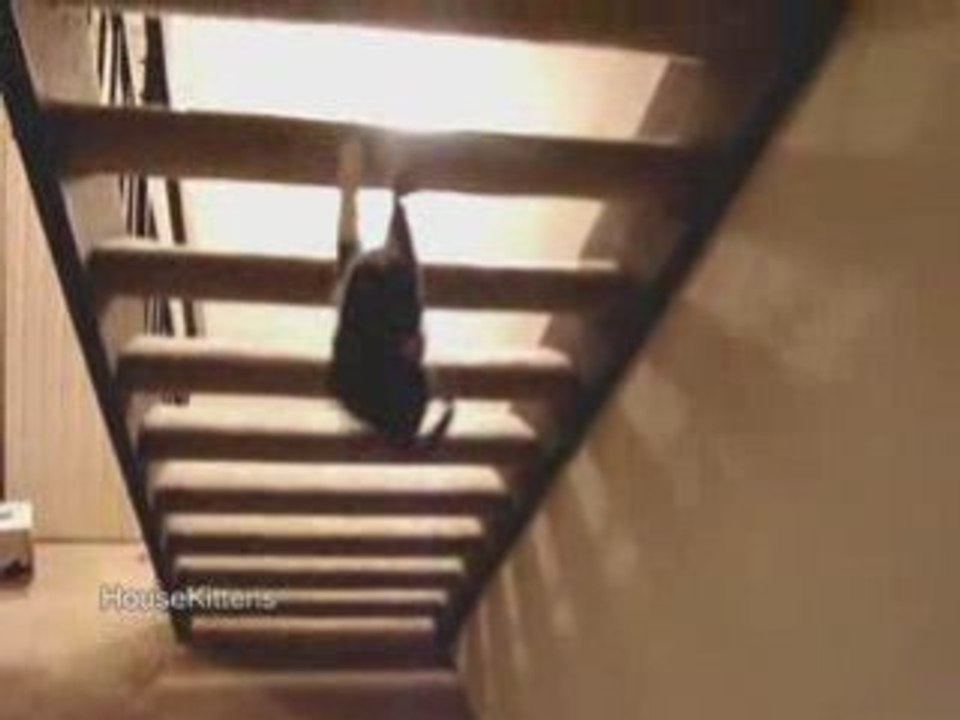 Chat ninja 2