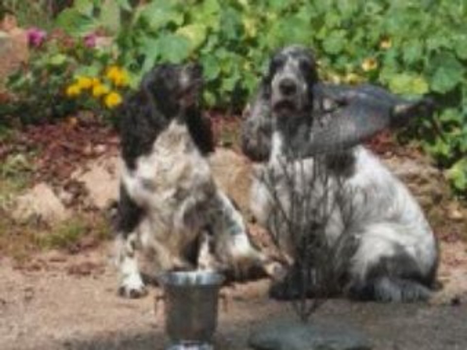 les etangs de dame blanche et du champs du paradis