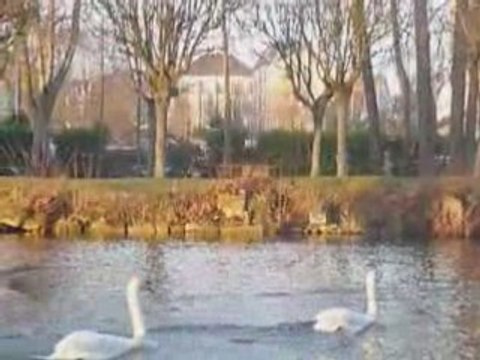 Ambiance hivernale au Parc des Capucins de Coulommiers