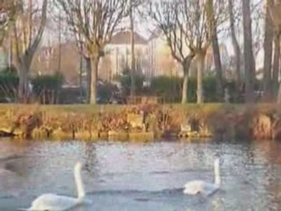 Ambiance hivernale au Parc des Capucins de Coulommiers
