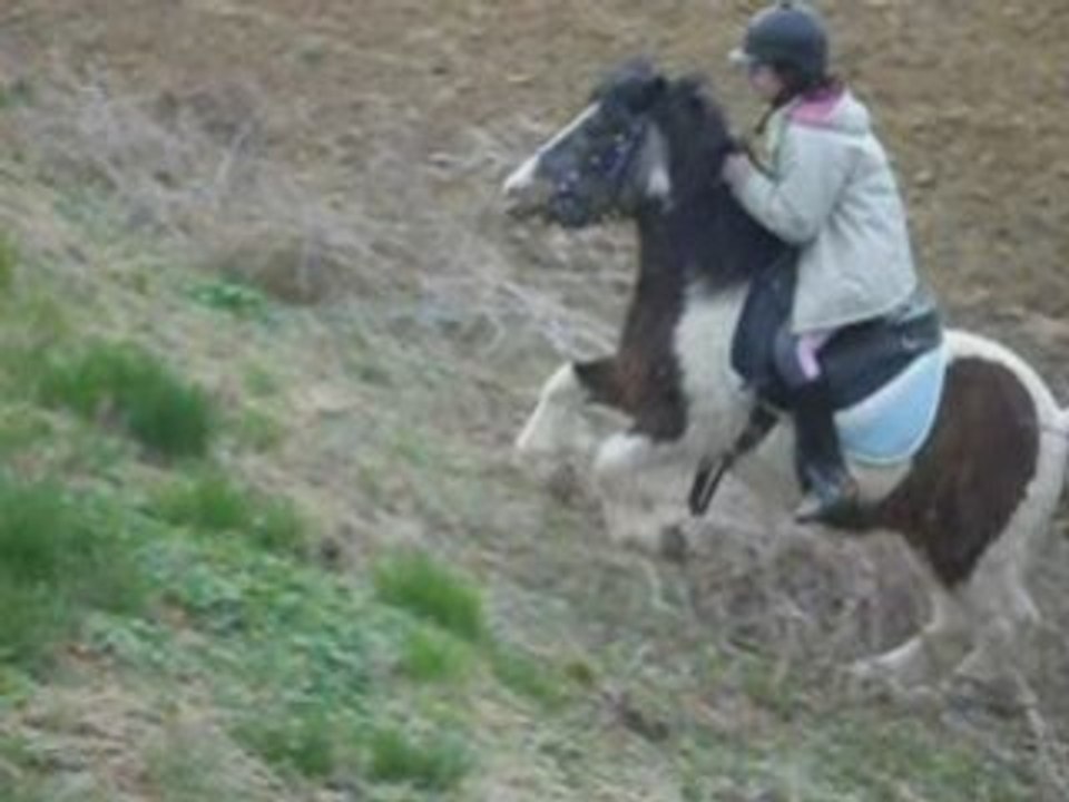 Laura et les dadous  ...2009