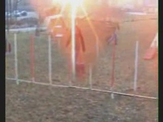 Night entrainement agility