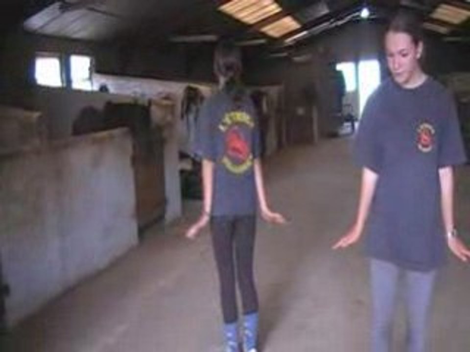 Claire et julie qui dance le papa pinguoin