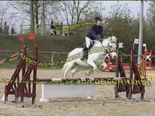 Concour moi, poney-chou, nino && megane