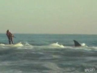 Surfeur p-che au gros