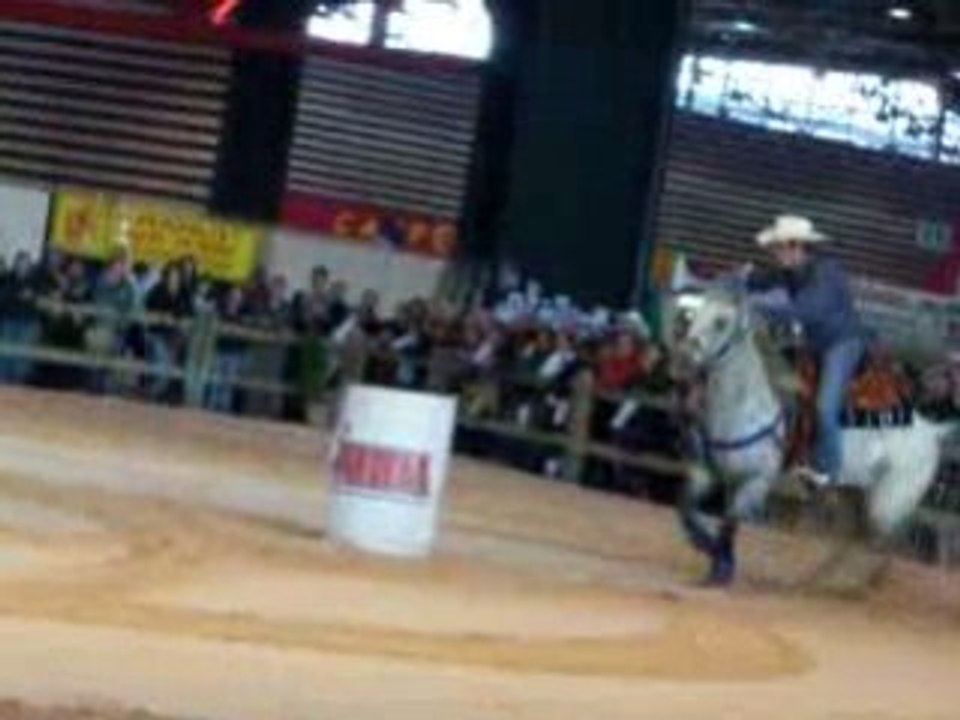 Salon du cheval