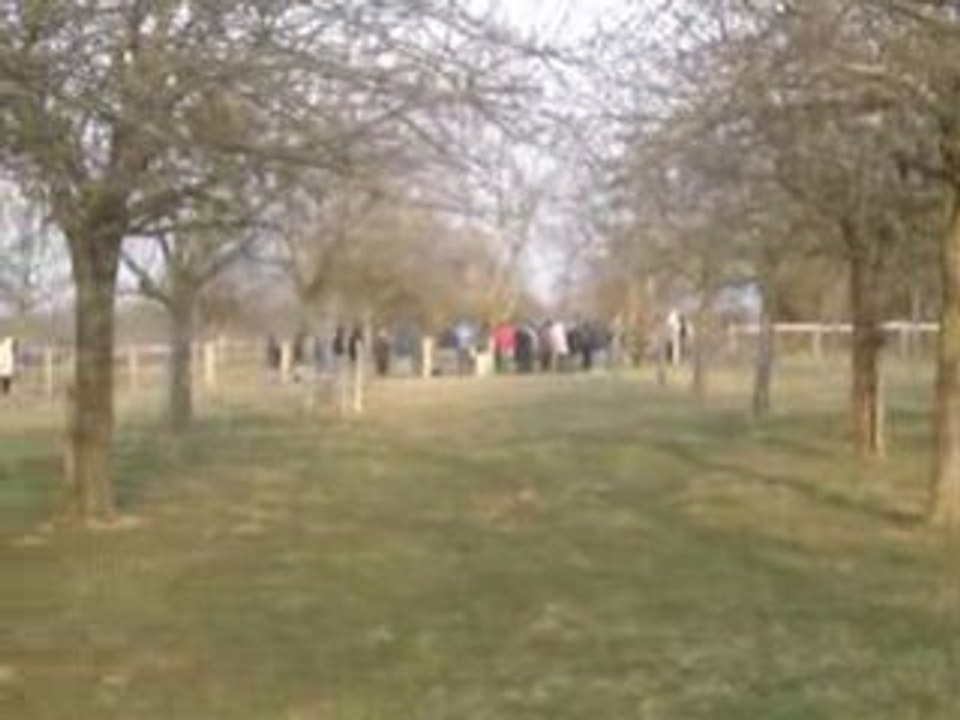 honda civic vti rally moteur Quagliozzi