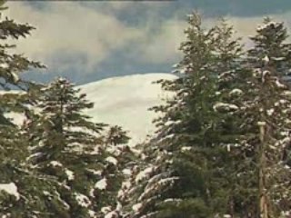 Andorre Nature sous la neige (#01)