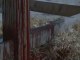 Miniature DailyMotion