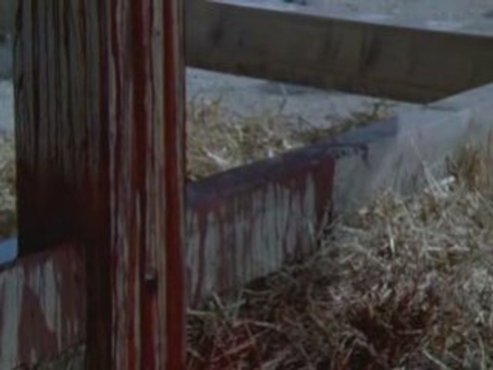 Martyrs chouans et vendéens