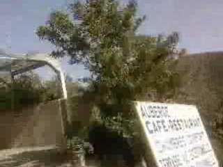 Route Agadir - Imouzzer 5