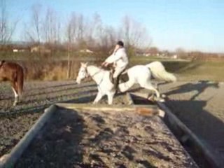 Avenche 30.11.08 partie 2