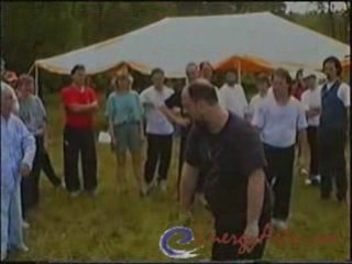 Tai Chi Martial Arts: Lu for Low Punches