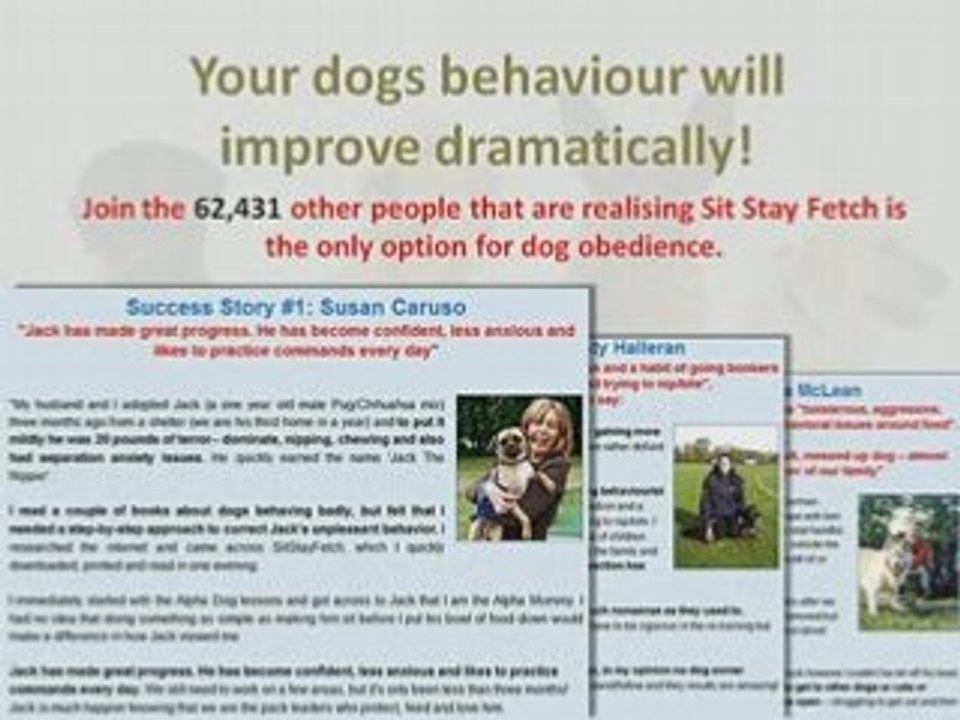 Dog Training Tricks