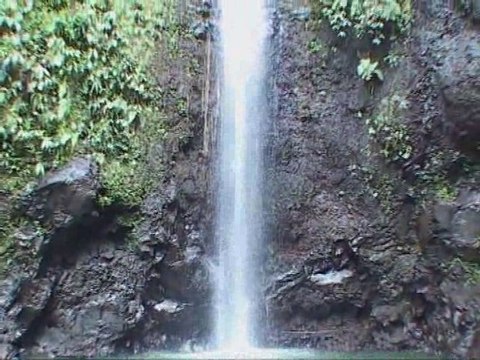 Junglewalk to water falls Raiatea Island in French Polynesia