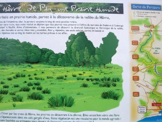 Oudon avril 07loire sauvage