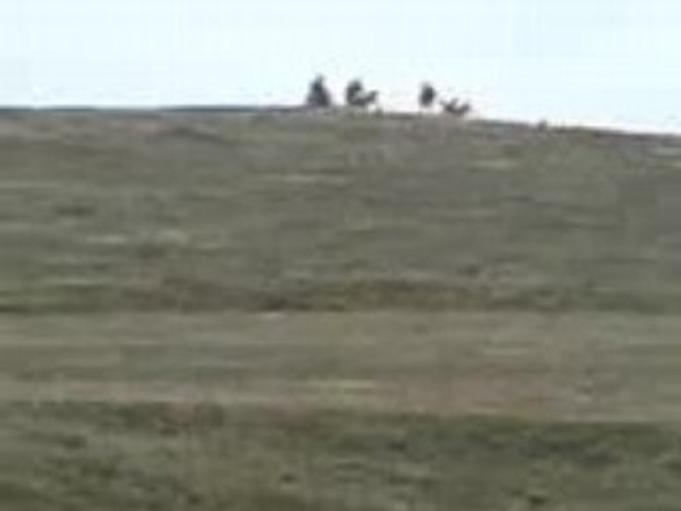 MOV00009