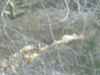 une rencontre improbable