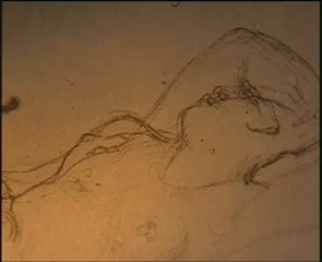 Le violon d'Ingres - Extrait #01